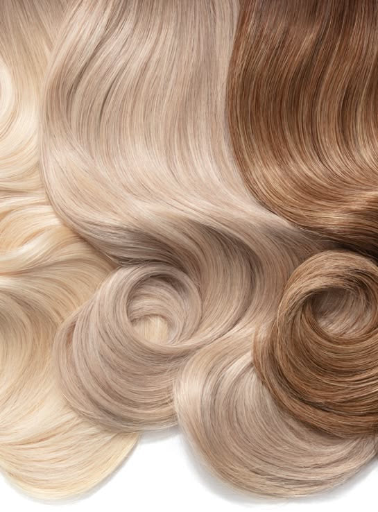 Signature Virgin Premium Lace Wigs |